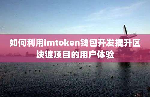 如何利用imtoken钱包开发提升区块链项目的用户体验