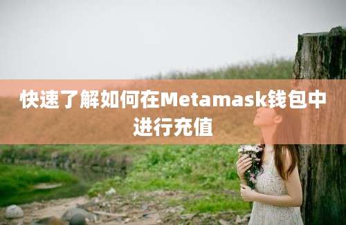 快速了解如何在Metamask钱包中进行充值