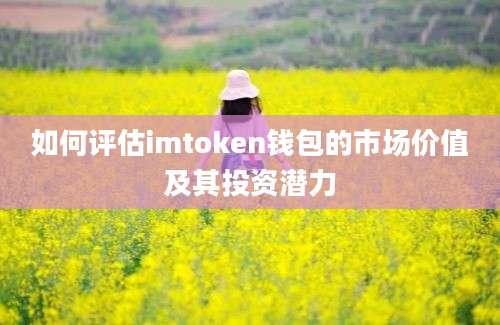 如何评估imtoken钱包的市场价值及其投资潜力