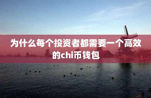 为什么每个投资者都需要一个高效的chi币钱包