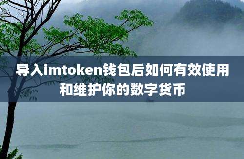 导入imtoken钱包后如何有效使用和维护你的数字货币