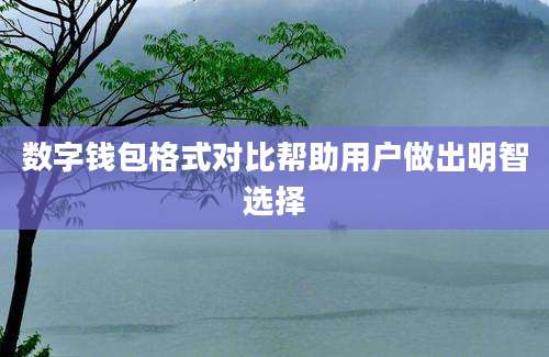 数字钱包格式对比帮助用户做出明智选择