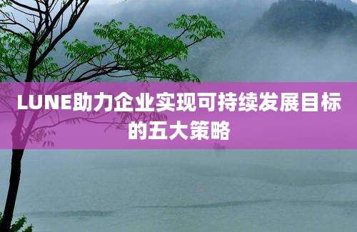 LUNE助力企业实现可持续发展目标的五大策略