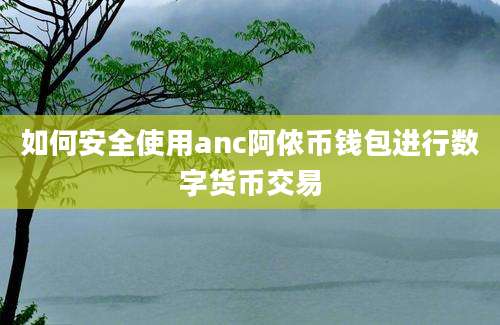 如何安全使用anc阿侬币钱包进行数字货币交易