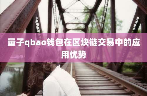 量子qbao钱包在区块链交易中的应用优势