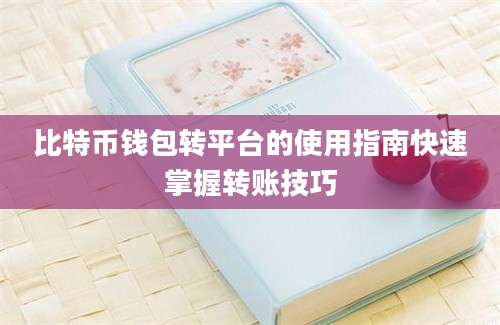 比特币钱包转平台的使用指南快速掌握转账技巧