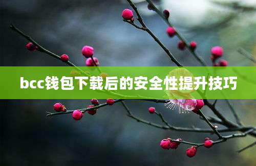 bcc钱包下载后的安全性提升技巧