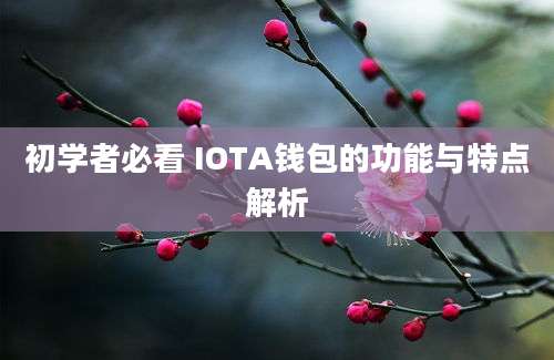 初学者必看 IOTA钱包的功能与特点解析