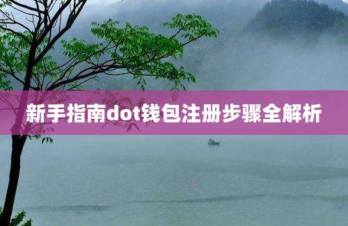 新手指南dot钱包注册步骤全解析