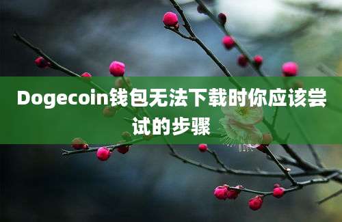 Dogecoin钱包无法下载时你应该尝试的步骤