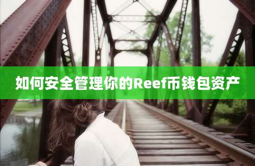 如何安全管理你的Reef币钱包资产