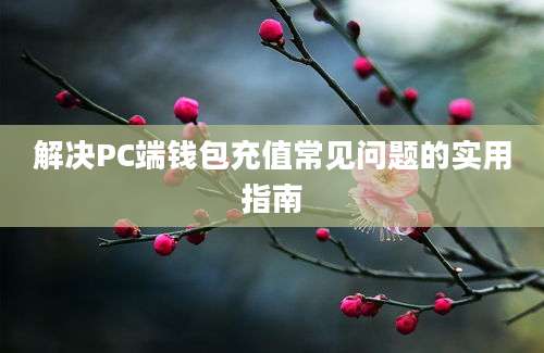 解决PC端钱包充值常见问题的实用指南