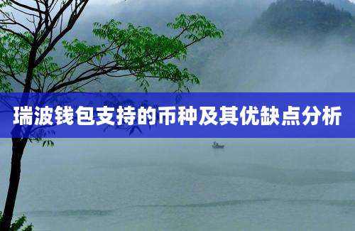 瑞波钱包支持的币种及其优缺点分析