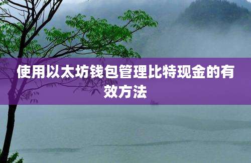 使用以太坊钱包管理比特现金的有效方法