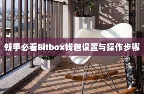 新手必看Bitbox钱包设置与操作步骤