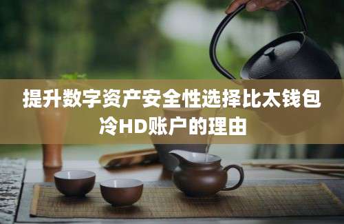 提升数字资产安全性选择比太钱包冷HD账户的理由