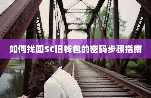 如何找回SC旧钱包的密码步骤指南