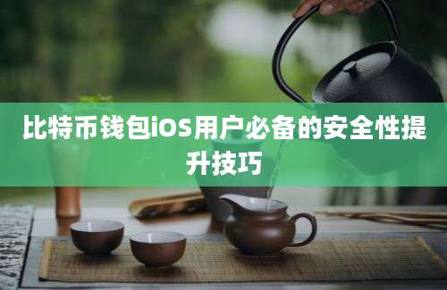 比特币钱包iOS用户必备的安全性提升技巧