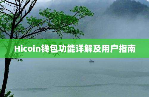 Hicoin钱包功能详解及用户指南