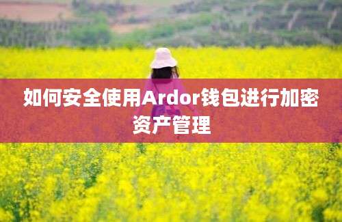 如何安全使用Ardor钱包进行加密资产管理