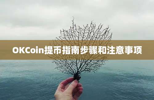 OKCoin提币指南步骤和注意事项