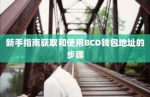 新手指南获取和使用BCD钱包地址的步骤