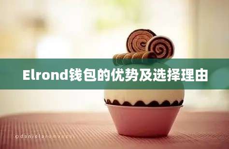 Elrond钱包的优势及选择理由