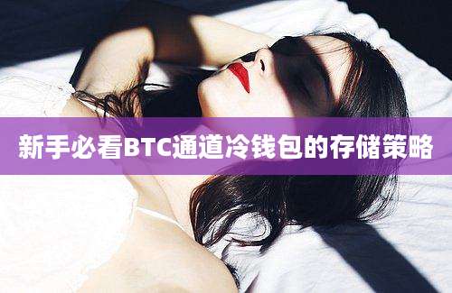 新手必看BTC通道冷钱包的存储策略