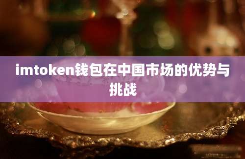 imtoken钱包在中国市场的优势与挑战