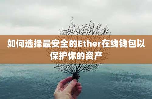 如何选择最安全的Ether在线钱包以保护你的资产