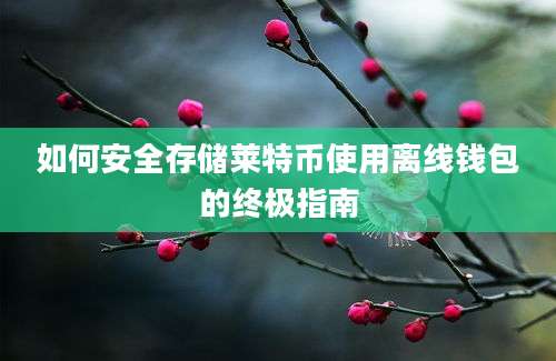 如何安全存储莱特币使用离线钱包的终极指南