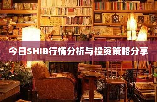 今日SHIB行情分析与投资策略分享