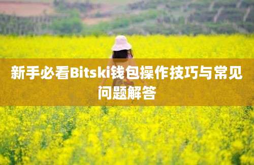 新手必看Bitski钱包操作技巧与常见问题解答