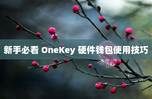 新手必看 OneKey 硬件钱包使用技巧