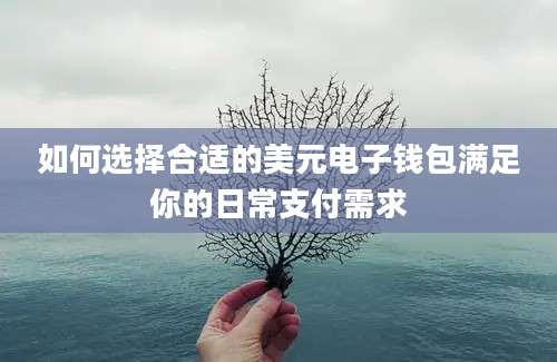 如何选择合适的美元电子钱包满足你的日常支付需求