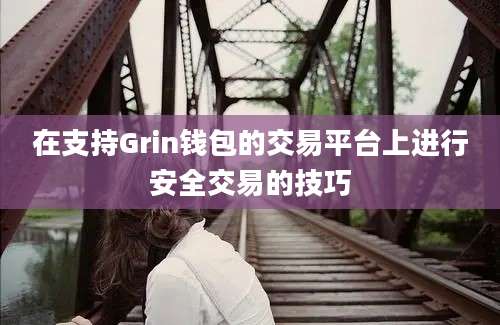 在支持Grin钱包的交易平台上进行安全交易的技巧