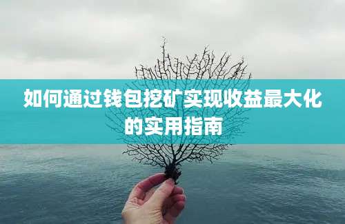 如何通过钱包挖矿实现收益最大化的实用指南