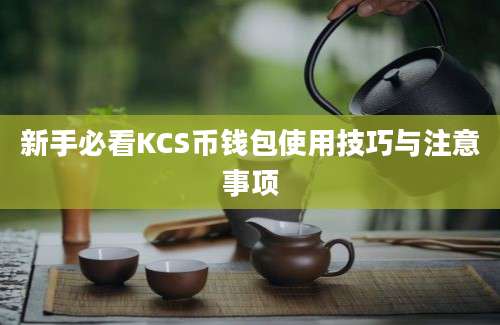 新手必看KCS币钱包使用技巧与注意事项