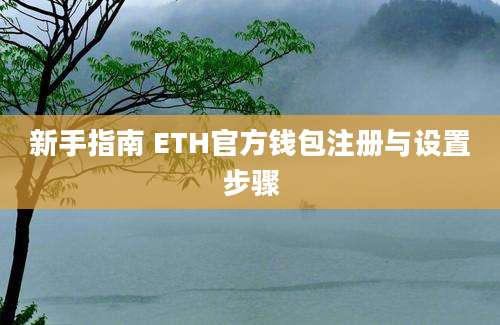 新手指南 ETH官方钱包注册与设置步骤