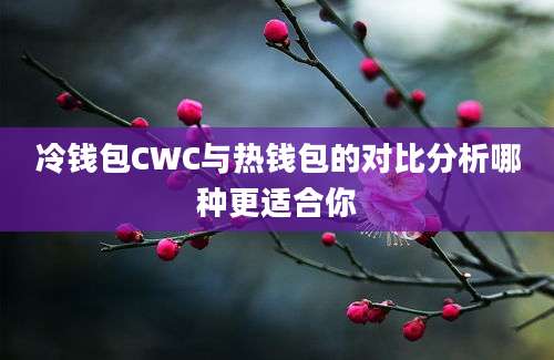 冷钱包CWC与热钱包的对比分析哪种更适合你