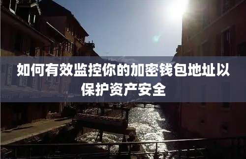 如何有效监控你的加密钱包地址以保护资产安全