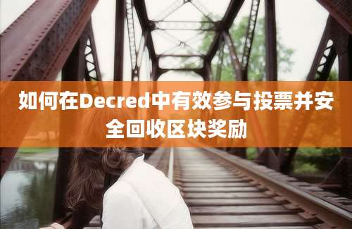 如何在Decred中有效参与投票并安全回收区块奖励