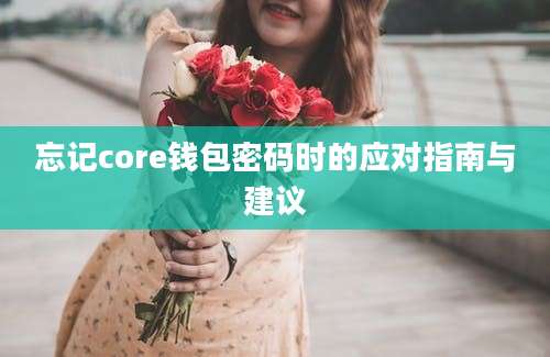 忘记core钱包密码时的应对指南与建议