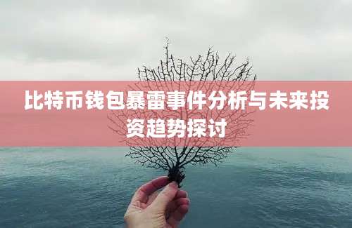 比特币钱包暴雷事件分析与未来投资趋势探讨