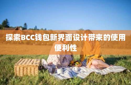 探索BCC钱包新界面设计带来的使用便利性