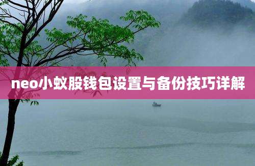 neo小蚁股钱包设置与备份技巧详解