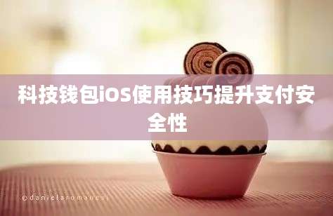 科技钱包iOS使用技巧提升支付安全性