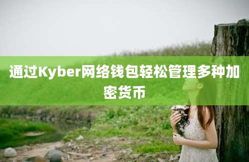 通过Kyber网络钱包轻松管理多种加密货币