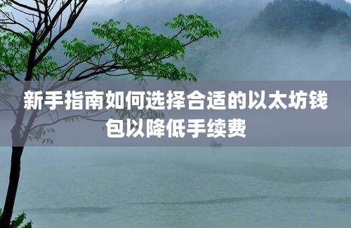 新手指南如何选择合适的以太坊钱包以降低手续费