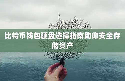 比特币钱包硬盘选择指南助你安全存储资产